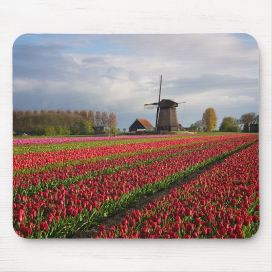 Rode tulpen en een windmolen muismat (Voorkant)