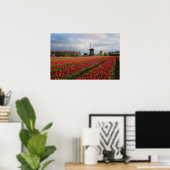 Rode tulpen en een windmolen poster (Thuiskantoor)