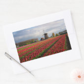 Rode tulpen en een windmolen rechthoekige sticker (Envelop)