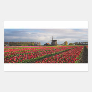 Rode tulpen en een windmolen rechthoekige sticker