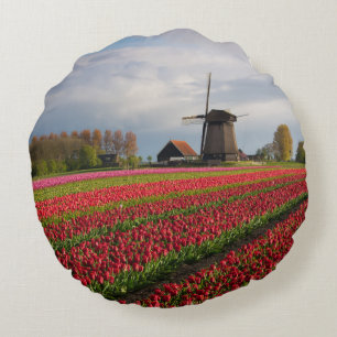 Rode tulpen en een windmolen rond kussen
