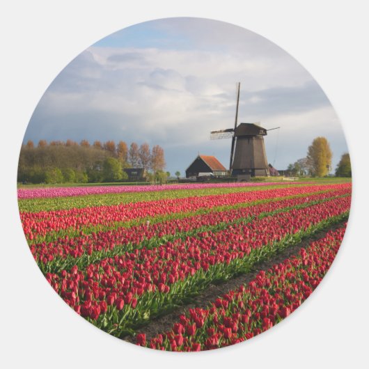 Rode tulpen en een windmolen ronde sticker (Voorkant)