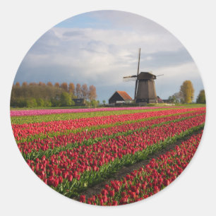 Rode tulpen en een windmolen ronde sticker
