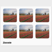 Rode tulpen en een windmolen vierkante sticker (Vel)