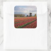 Rode tulpen en een windmolen vierkante sticker (Tas)