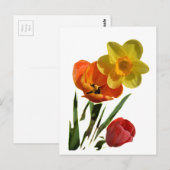 Rode tulpen en gele daffodilbloemen briefkaart (Voorkant / Achterkant)