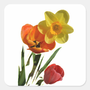 Rode tulpen en gele daffodilbloemen vierkante sticker