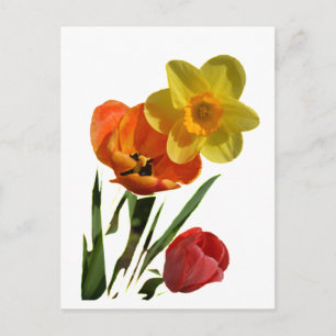 Rode tulpen en gele narcis bloemen briefkaart