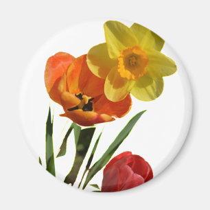 Rode tulpen en gele narcis bloemen magneet