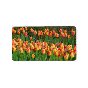 Rode tulpen etiket