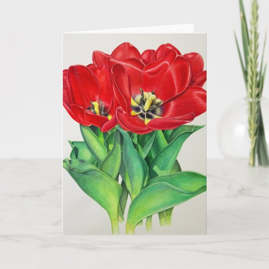 Rode tulpen feestdagen kaart (Voorkant)