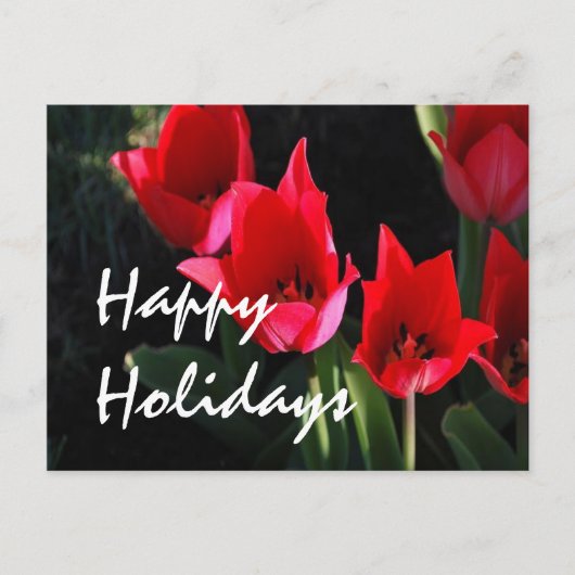 Rode Tulpen Feestdagenkaart (Voorkant)