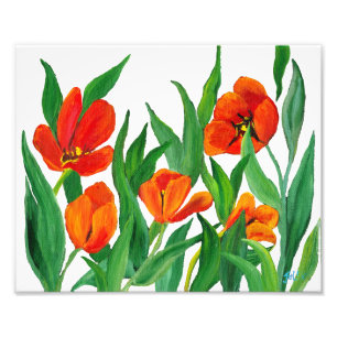 Rode tulpen foto afdruk