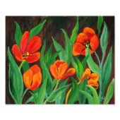 Rode tulpen foto afdruk (Voorkant)