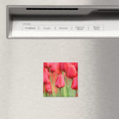 Rode Tulpen Foto Magneet (Insitu (Vaatwasser))