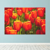 Rode tulpen fotografisch afdrukken. canvas afdruk (Insitu (Houten vloer))