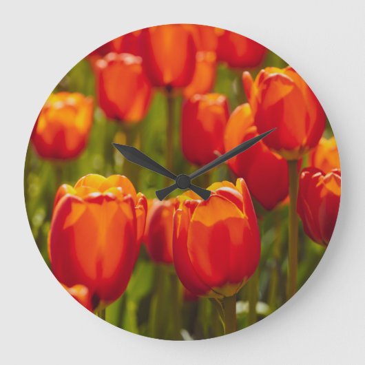 Rode tulpen fotografische afdruk. fotoafdrukken grote klok (Voorkant)
