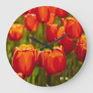 Rode tulpen fotografische print. Fotoafdruk Grote Klok