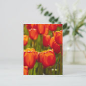 Rode tulpen fotoprint. briefkaart (Staand voorkant)