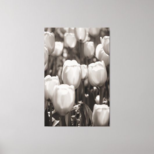 Rode tulpen fotoprint. canvasprint canvas afdruk (Voorkant)