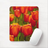Rode tulpen fotoprint. muismat (Met muis)