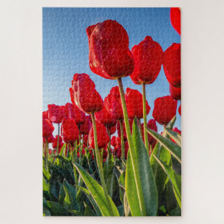 Rode tulpen in bloei legpuzzel