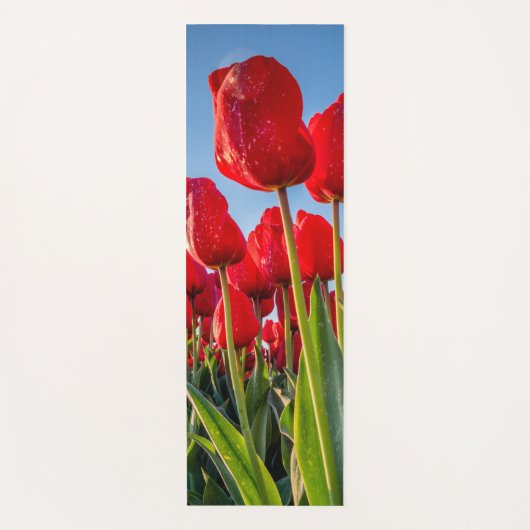 Rode tulpen in bloei yogamat (Voorkant)