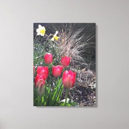 Rode tulpen in de tuin canvas afdruk