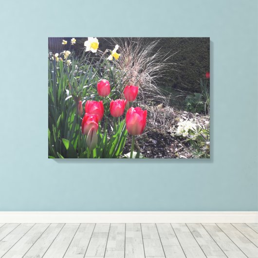 Rode tulpen in de tuin canvas afdruk (Insitu (Houten vloer))