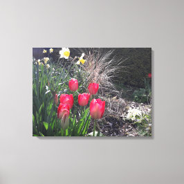 Rode tulpen in de tuin canvas afdruk