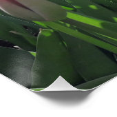 Rode tulpen in de tuin perfect poster (Hoek)