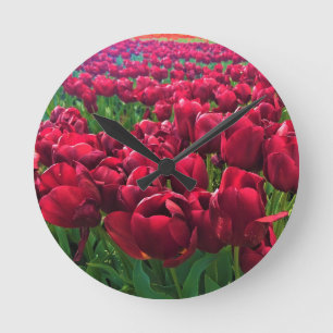 Rode Tulpen in een veld, Oregon Ronde Klok