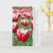 rode tulpen in tuin verjaardag kaart (Gele Bloem)