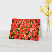 Rode tulpen kaart (Gele Bloem)