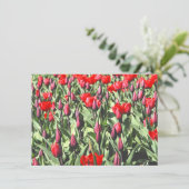 Rode tulpen kaart (Staand voorkant)