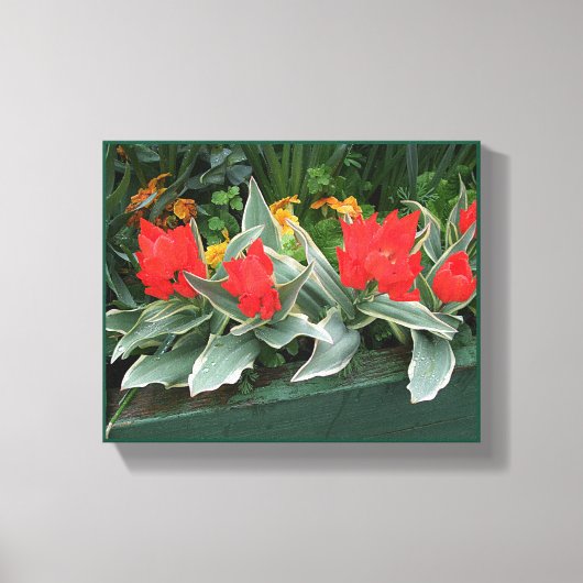 rode tulpen kleurrijke lichte stijlvolle bloemen canvas afdruk (Voorkant)
