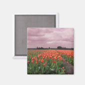 Rode Tulpen Landschap Magneet (Voorkant / Achterkant)