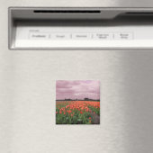 Rode Tulpen Landschap Magneet (Insitu (Vaatwasser))