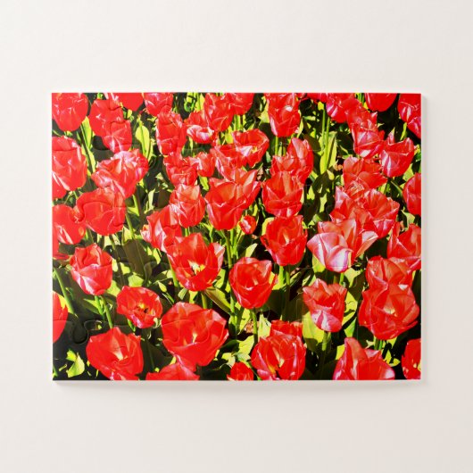 Rode tulpen legpuzzel (Horizontaal)