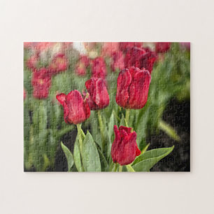 Rode tulpen legpuzzel