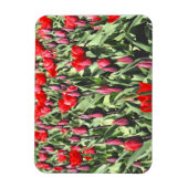 Rode tulpen magneet (Verticaal)