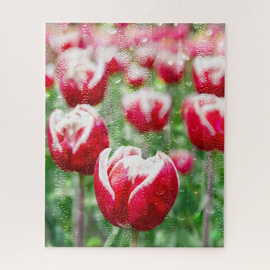 rode tulpen met regendruppels op raam legpuzzel (Verticaal)