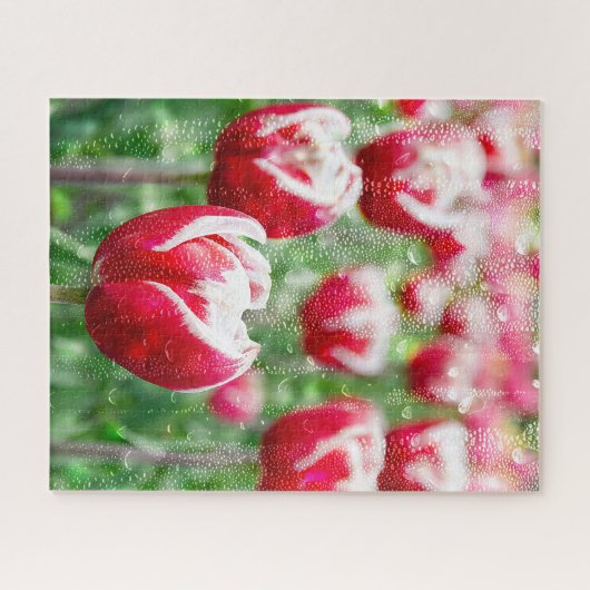 rode tulpen met regendruppels op raam legpuzzel (Horizontaal)