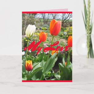 Rode tulpen M'n liefde Lente bloemen Kaart