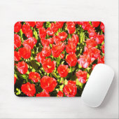 Rode tulpen muismat (Met muis)