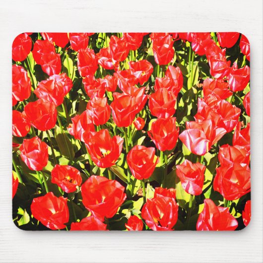 Rode tulpen muismat (Voorkant)