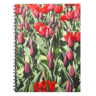 Rode tulpen notitieboek
