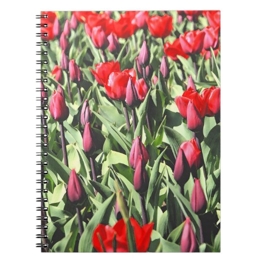 Rode tulpen notitieboek (Voorkant)