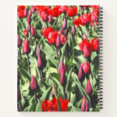 Rode tulpen notitieboek (Achterkant)