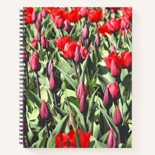 Rode tulpen notitieboek (Voorkant)